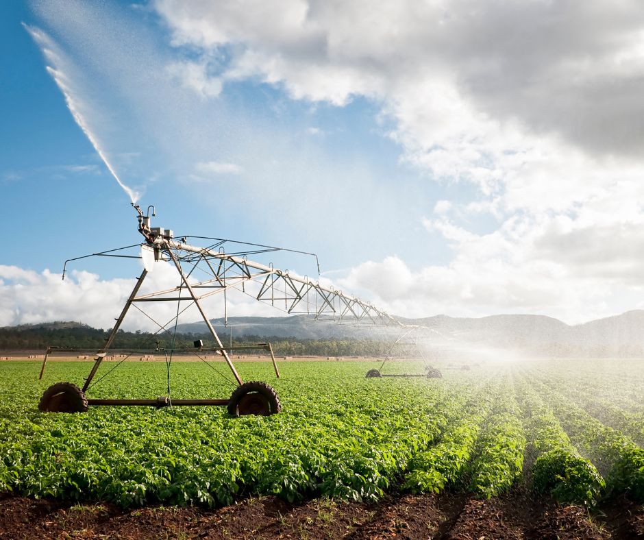 Irrigation system in field